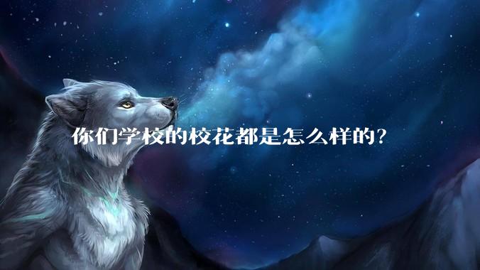 你们学校的校花都是怎么样的？