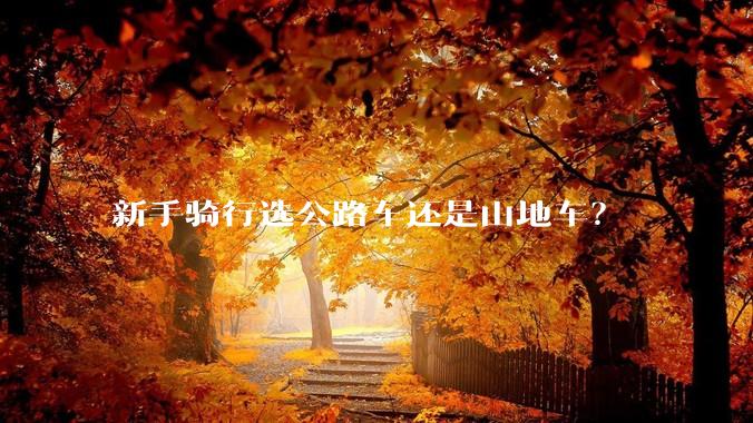 新手骑行选公路车还是山地车？