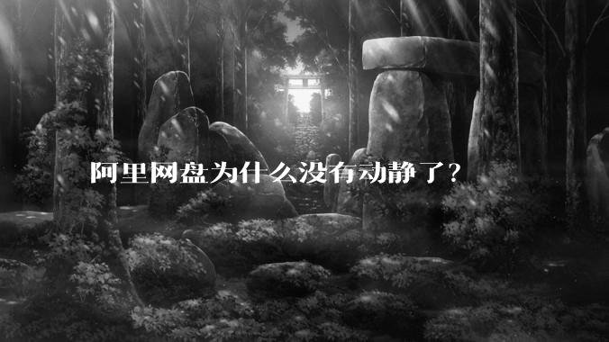 阿里网盘为什么没有动静了？