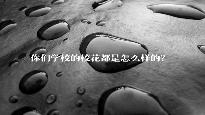 你们学校的校花都是怎么样的？