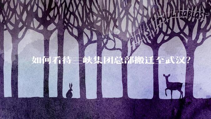如何看待三峡集团总部搬迁至武汉？