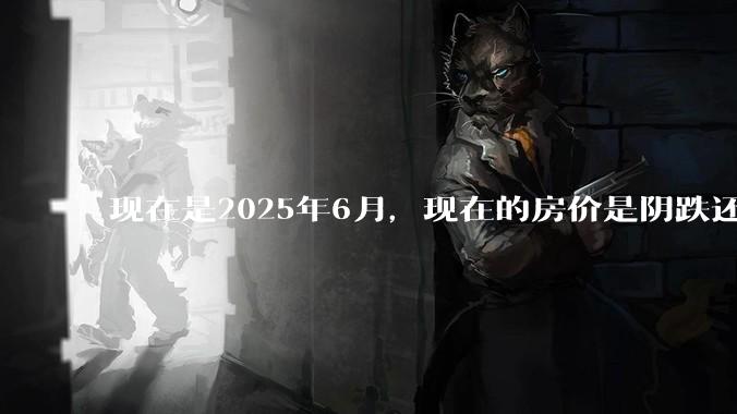 现在是2025年6月，现在的房价是阴跌还是暴跌？还会继续跌多久？是否已经开始分化?