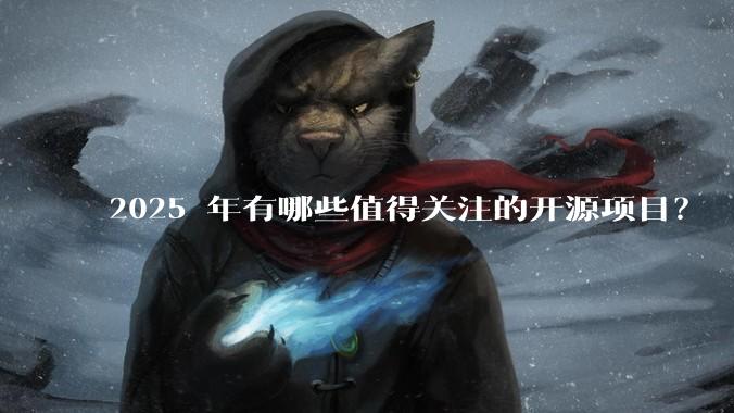 2025 年有哪些值得关注的开源项目？